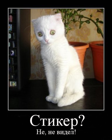 Кот против стикера