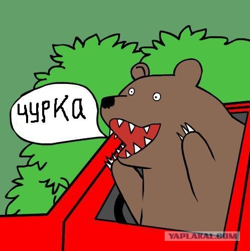 Драка в магазине «Подсолнух»