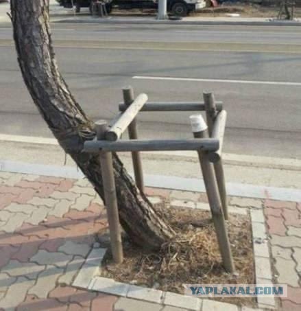 Подборка идиотских фотографий