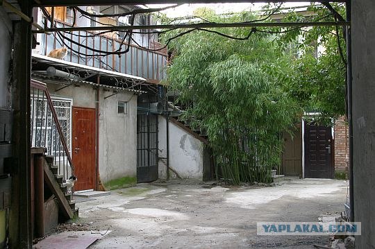 Весна в Ялте (28 фото)