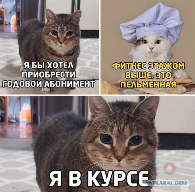 Пятница. Вечер. Картинки всякие... #6