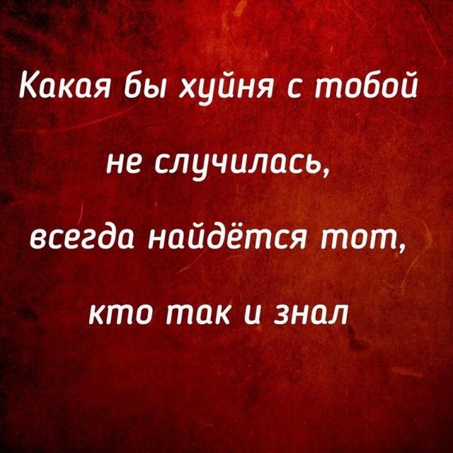 Весёлый полтишок 08.06.2022