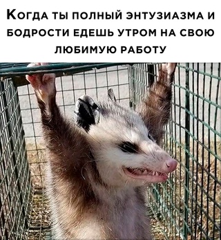 Картинки и мемы для настроения - 19