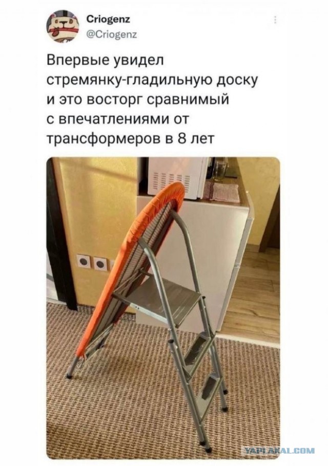 Скриншоты и комментарии из социальных сетей 20.08.22