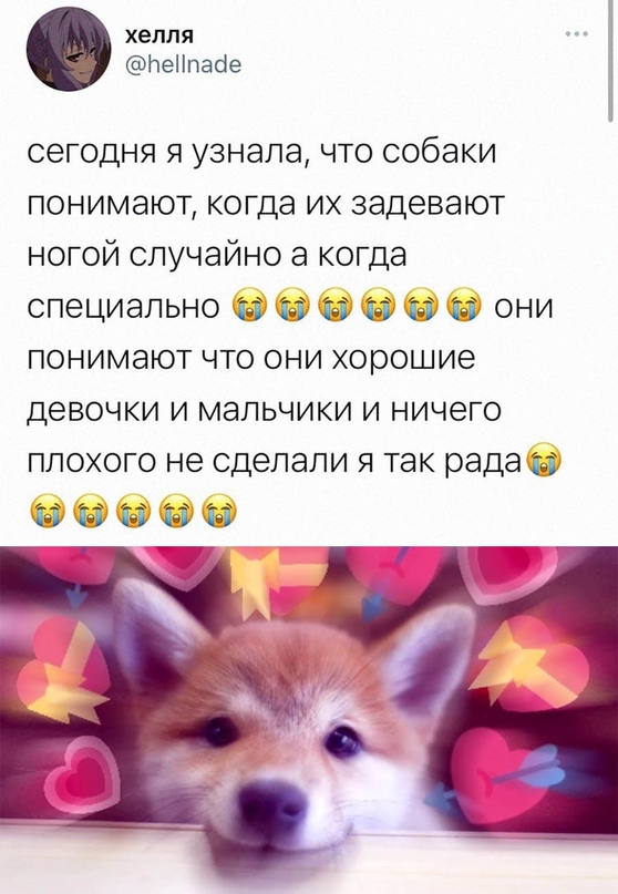 Картинки и мемы для настроения - 009