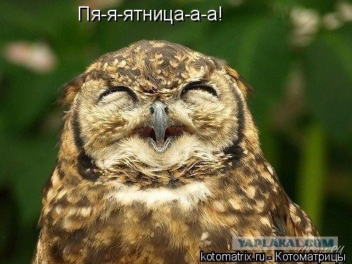 Такие баяны, что это уже Археология!