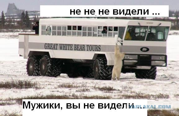 Зажигалку не видел?
