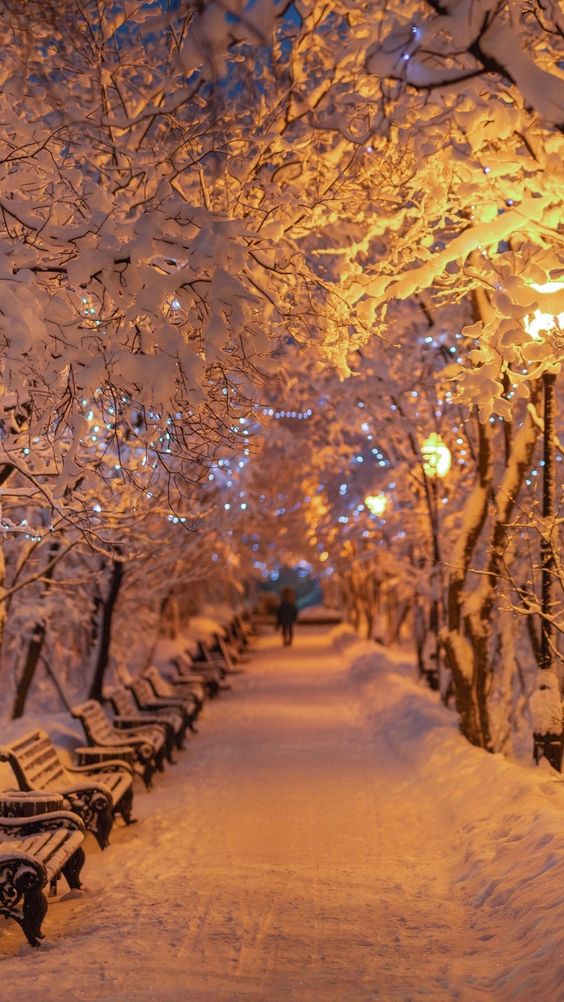 Прикольные и просто красивые картинки 30.12.2022