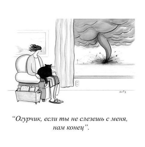 Папа не дает конфету?