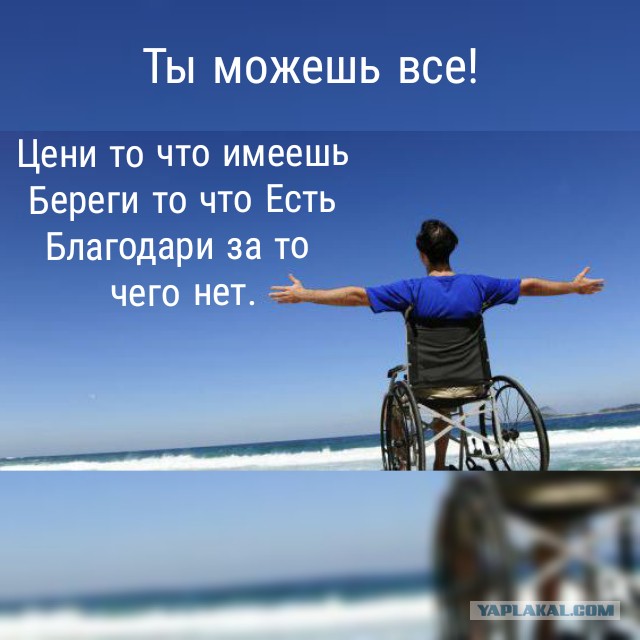 Победная поступь идиотизма по планете – том 7