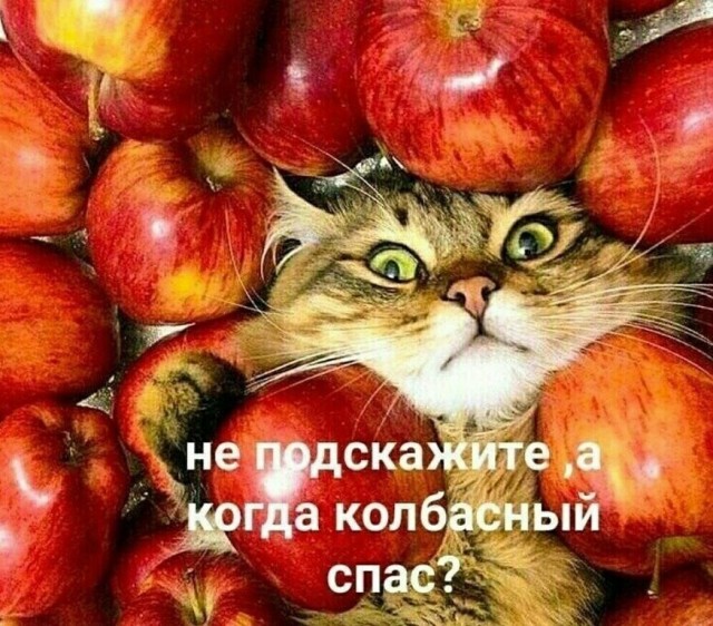 Немного картинок для настроения - 137