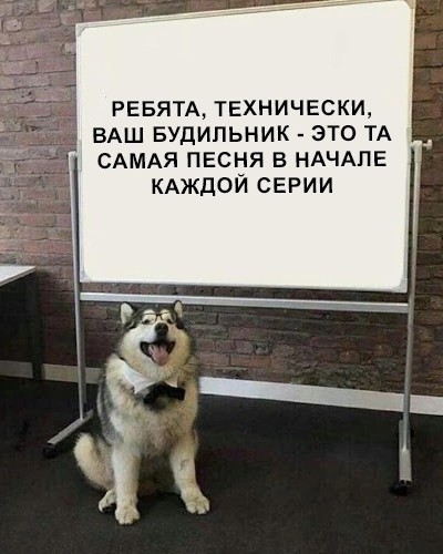 Нуштош 30.04.2023