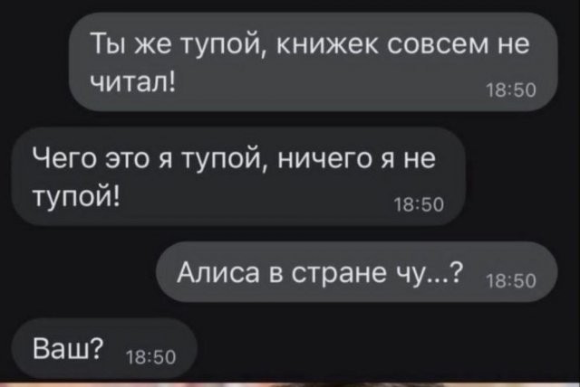 Весёлый полтишок 08.07.23