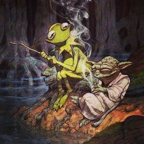 Прикольные и просто красивые картинки 19.09.2023