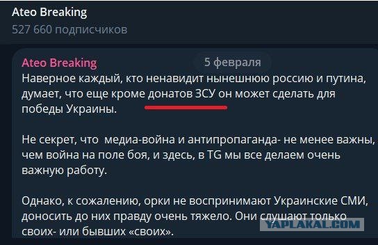 Верховный суд утвердил недопуск Дунцовой кандидатом на президентских выборах