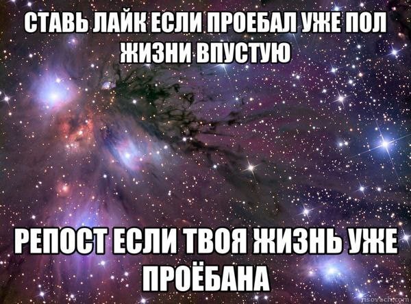 Всего понемногу. От 15.01.2024