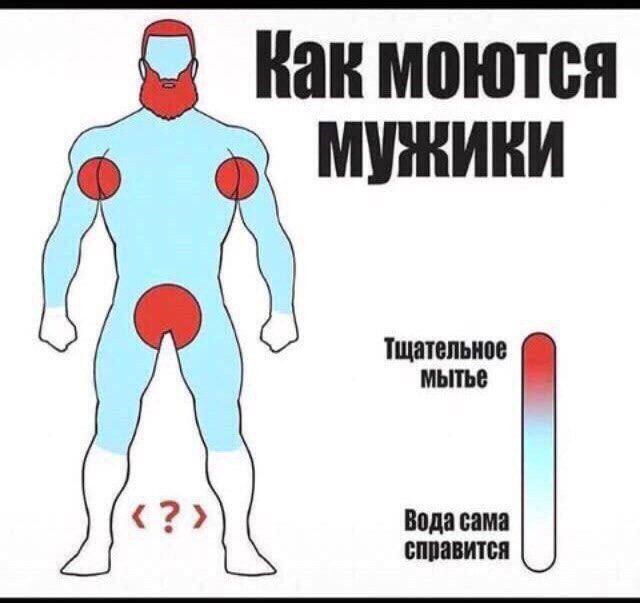 Картинки всяческие от 31.01.2024