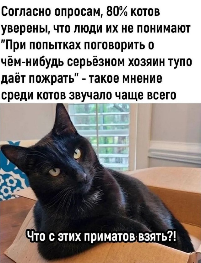 Есть переводчики?