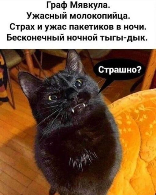 Так себе картинки 07.08.24