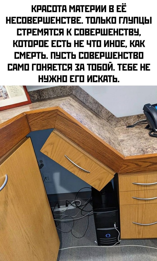Весёлый полтишок 22.11.24