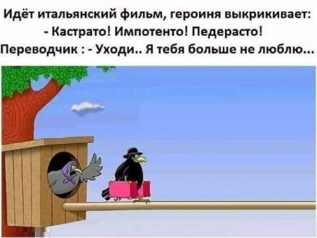 Так себе картинки 29.12.24