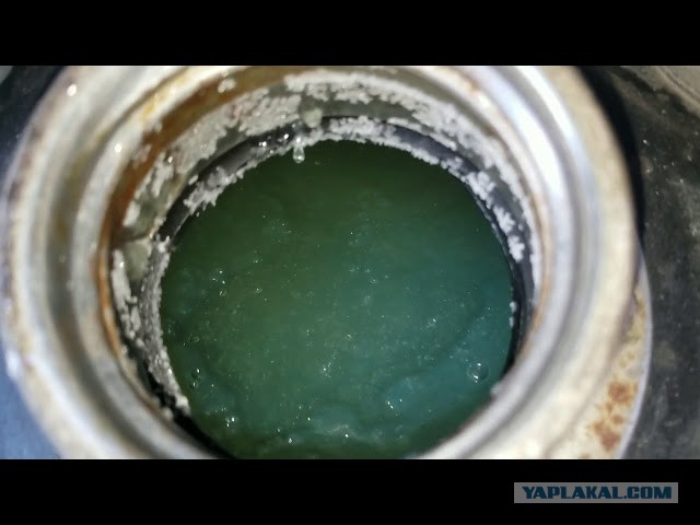 Купил вибратор