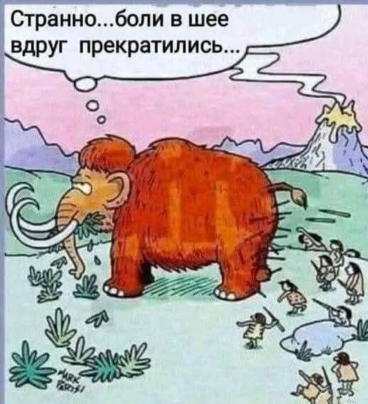 Маленькая пятница 02.02.25