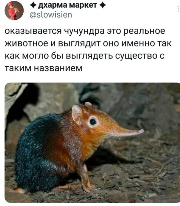 Так себе картинки 26.02.25