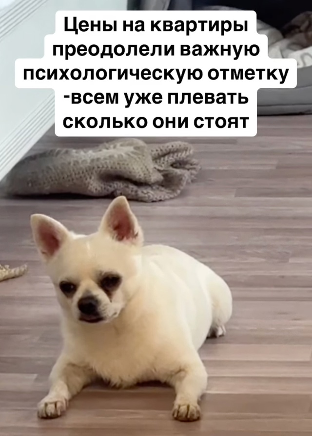 Весёлый полтишок 16.04 25.
