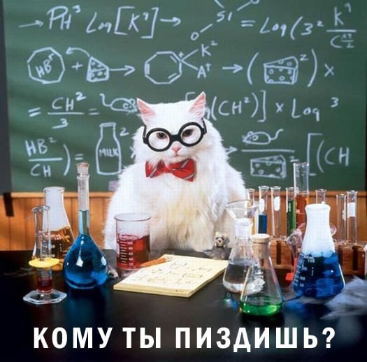 На случай важных переговоров