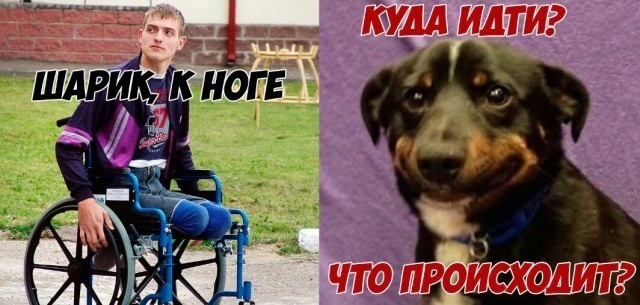 Пятничная дичь