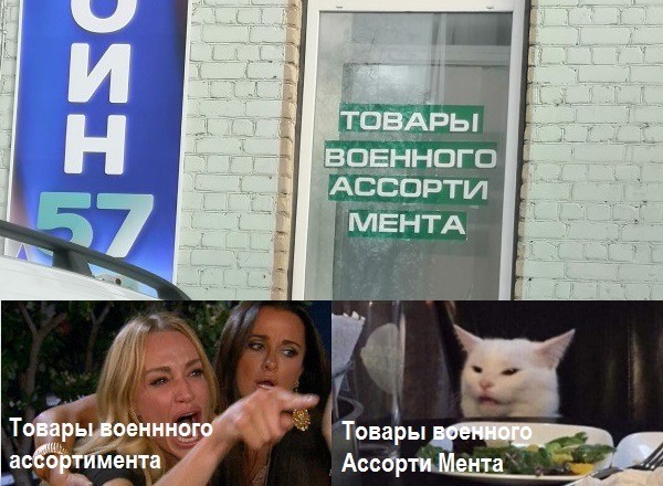 Знаменитый кот