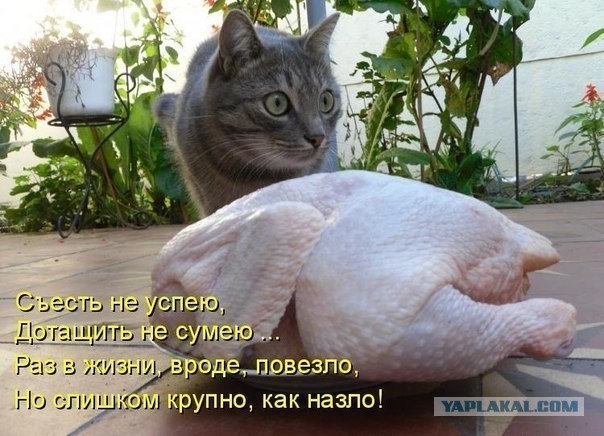 Видно, что-то пошло не так...