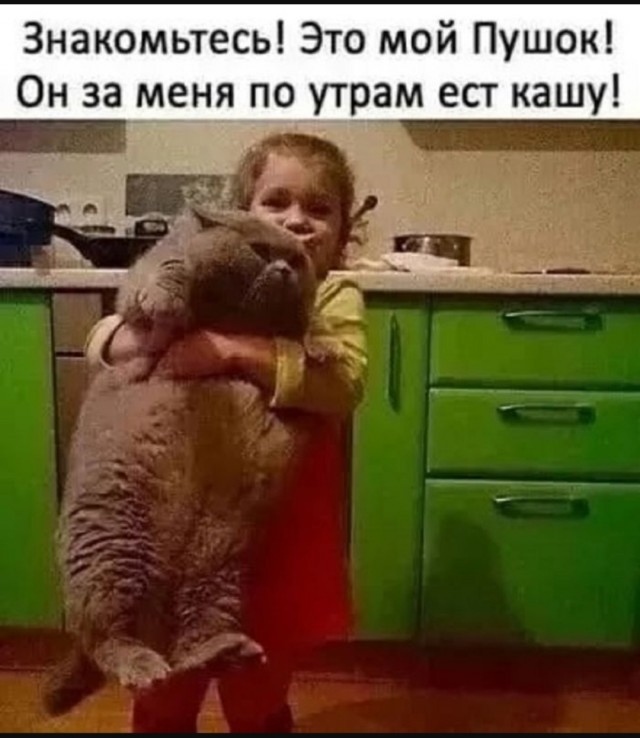 К котовторнику: подборка картинок-баянов с котиками и про котиков. Выпуск 20.
