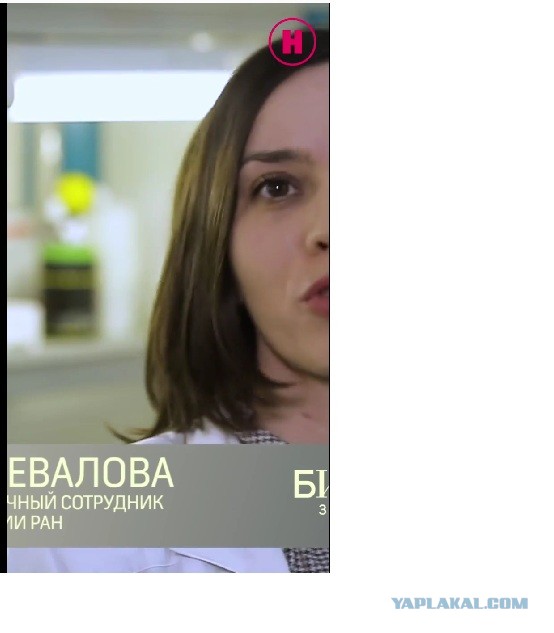 Тут втирают какую-то умную дичь про микроорганизмы в условиях субботы