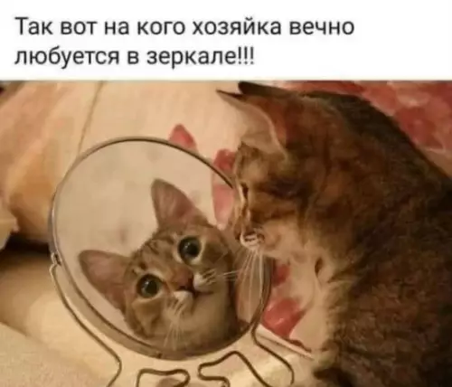 Картиночки, баянчики 10 марта