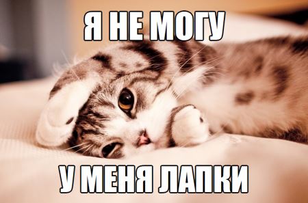 Женщина должна сама принимать решение об аборте, исходя из собственной ситуации