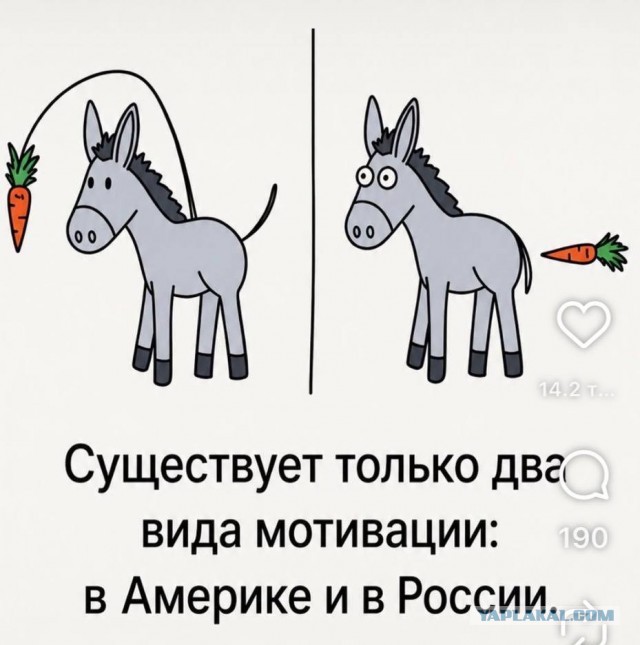 Отсутствие морально этических норм Vol.89
