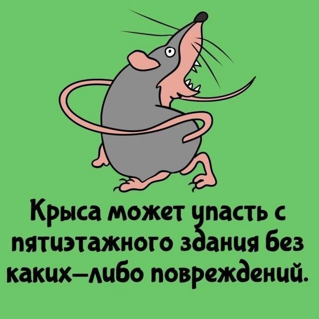 Интересные и короткие факты,на все случаи жизни 23.10.26