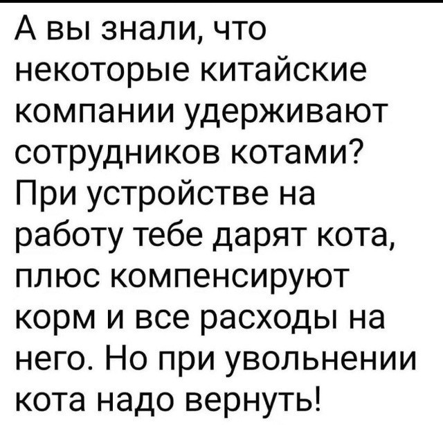 Веселые картинки в пятницу (30.10)
