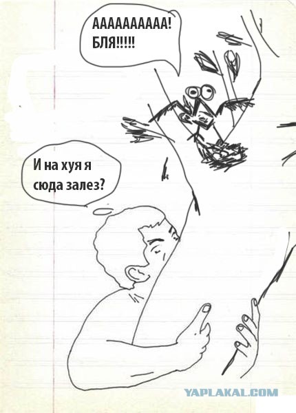 Ну, кто дорисует?