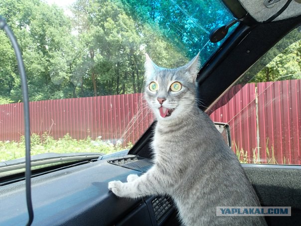 Женщина... увези меня отсюда!