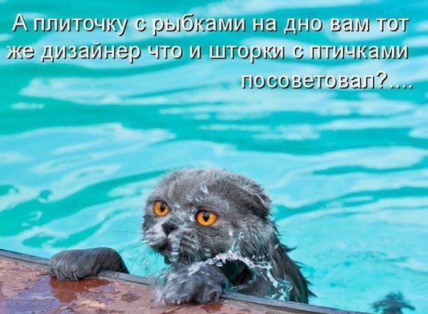 Не про олимпиаду