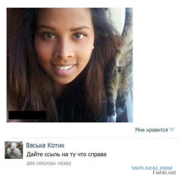 Свежие смешные комментарии из социальных сетей
