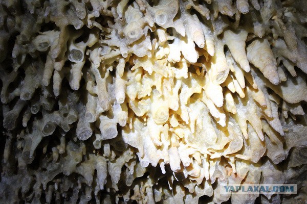 Дорога из Киева и из Москвы в Ялту.