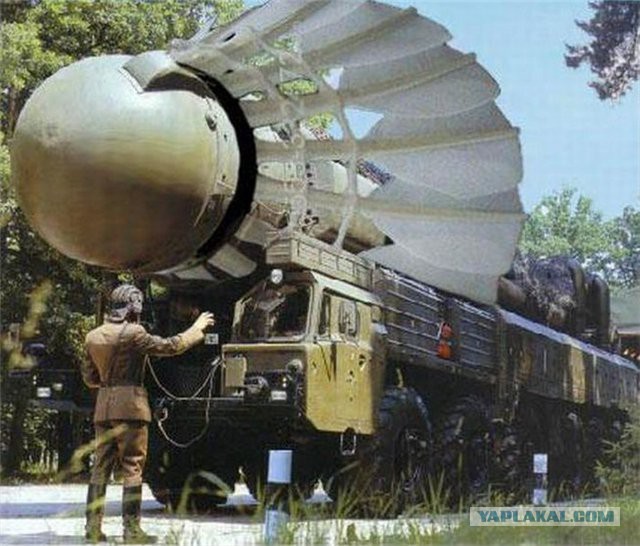 Они бессмертные?