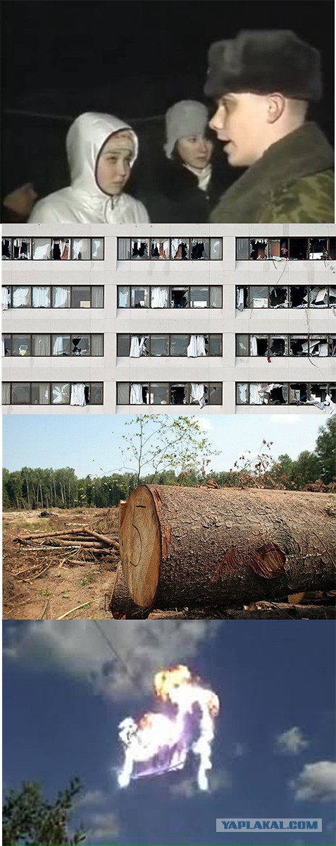 Фотожабы про спасение Барсика