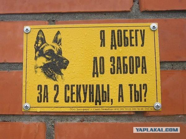 Главное, всё-таки ноги.