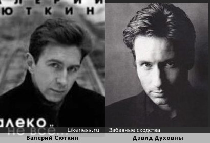 Двойники знаменитостей