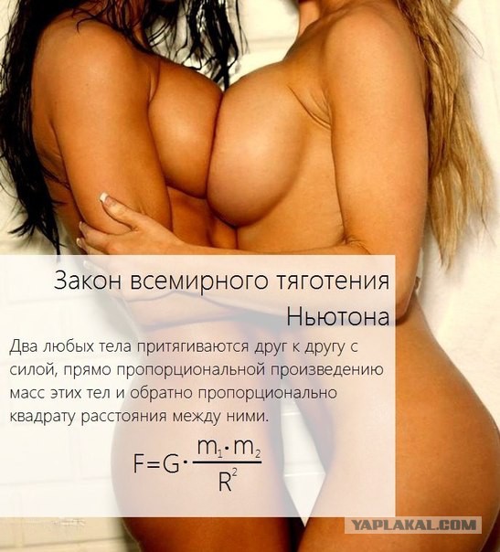Весёлые картинки